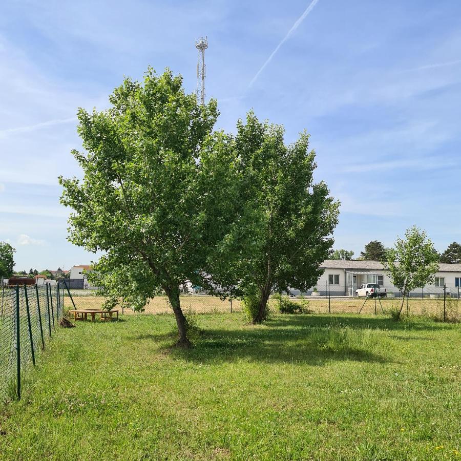 Tiny House Villa Neusiedl an der Zaya Exteriör bild